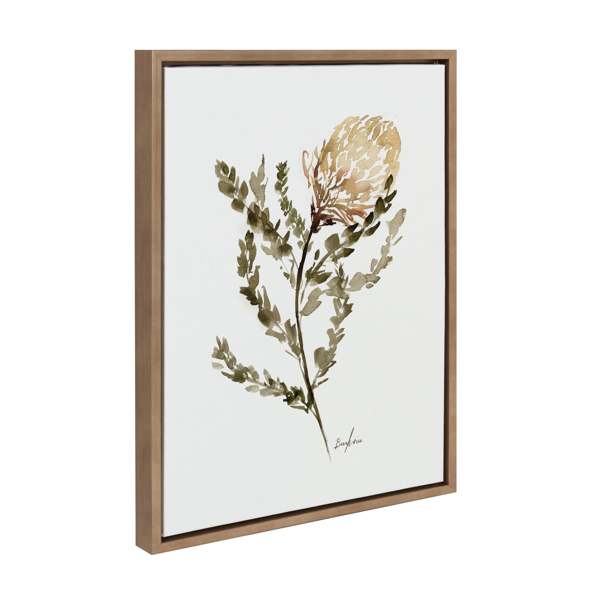 Sylvie Wild Banksia Framed Canvas by Sara Berrenson