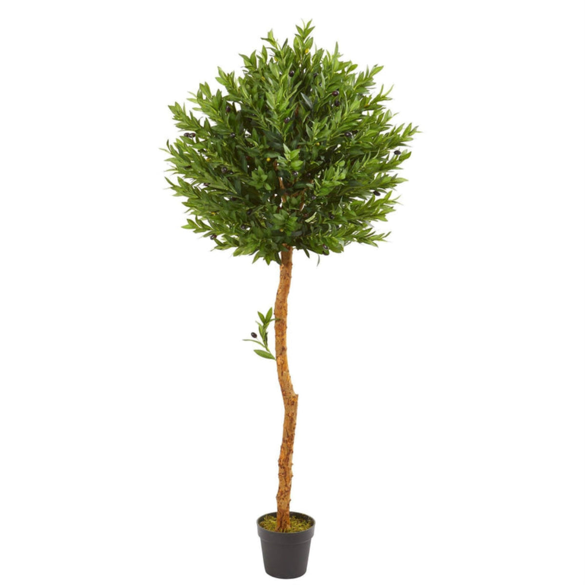 5.5 Olive Topiary Artificial Tree Uv Resistant (Indoor/Outdoor)