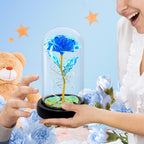 Childom Birthday Gifts For Women,Christmas Rose Gifts For Women,Womens Glass Rose Gifts,Light Up Rose Flowers In Glass Dome,Colo