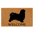 Calloway Mills Az105682436 Havanese Doormat, 24' X 36', Natural/Black