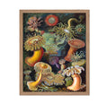 Poster Master Ernst Haeckel Poster - Haeckel Actiniae Print - Sea Anemone Art - Aquatic Art - Marine Life Art - Gift for Men & W