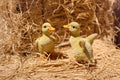 Hi- Line Gift 87697-B 2 Piece Ducklings Statue