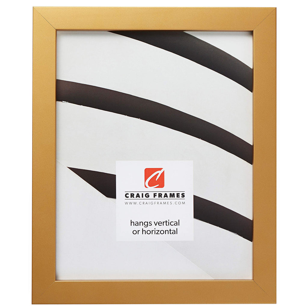 Craig Frames Confetti, Modern Gold Picture Frame, 12 x 36 Inch