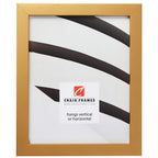 Craig Frames Confetti, Modern Gold Picture Frame, 12 x 36 Inch