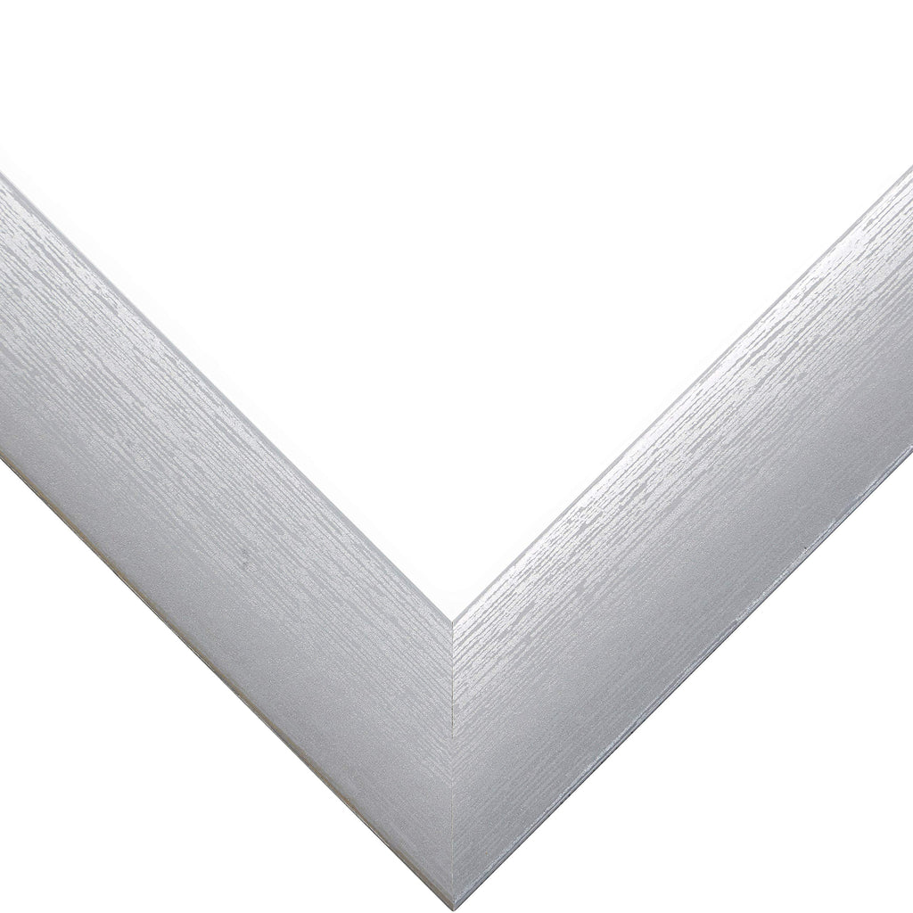 Craig Frames Contemporary Picture Frame, 15 X 21 Inch, Brushed Silver