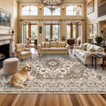 TOPRUUG Washable 12x15 Area Rug - Extra Large Rugs for Living Room Soft Low Pile Carpet for Bedroom Non-Slip Stain Resistant Vin