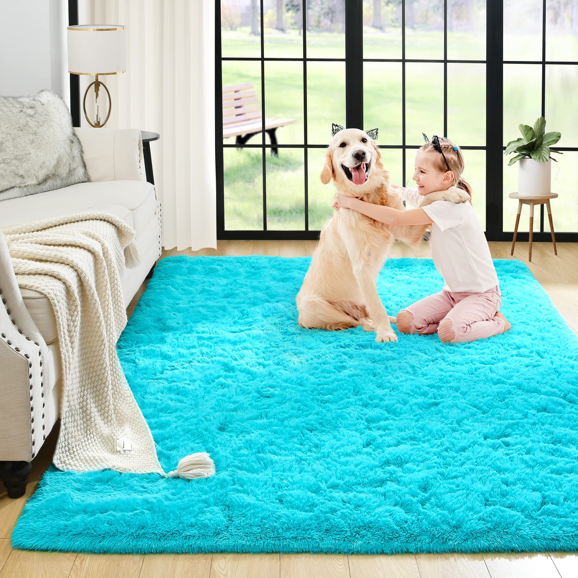 Noahas Fluffy Bedroom Rug Plush Fuzzy Rugs for Kids Room Living Room, Soft Shaggy Nursery Rug Furry Floor Carpet Modern Indoor B