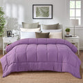 Evolive All Season Pre Washed Soft Microfiber White Goose Down Alternative Comforter With Box Stitching (Lavender, King)