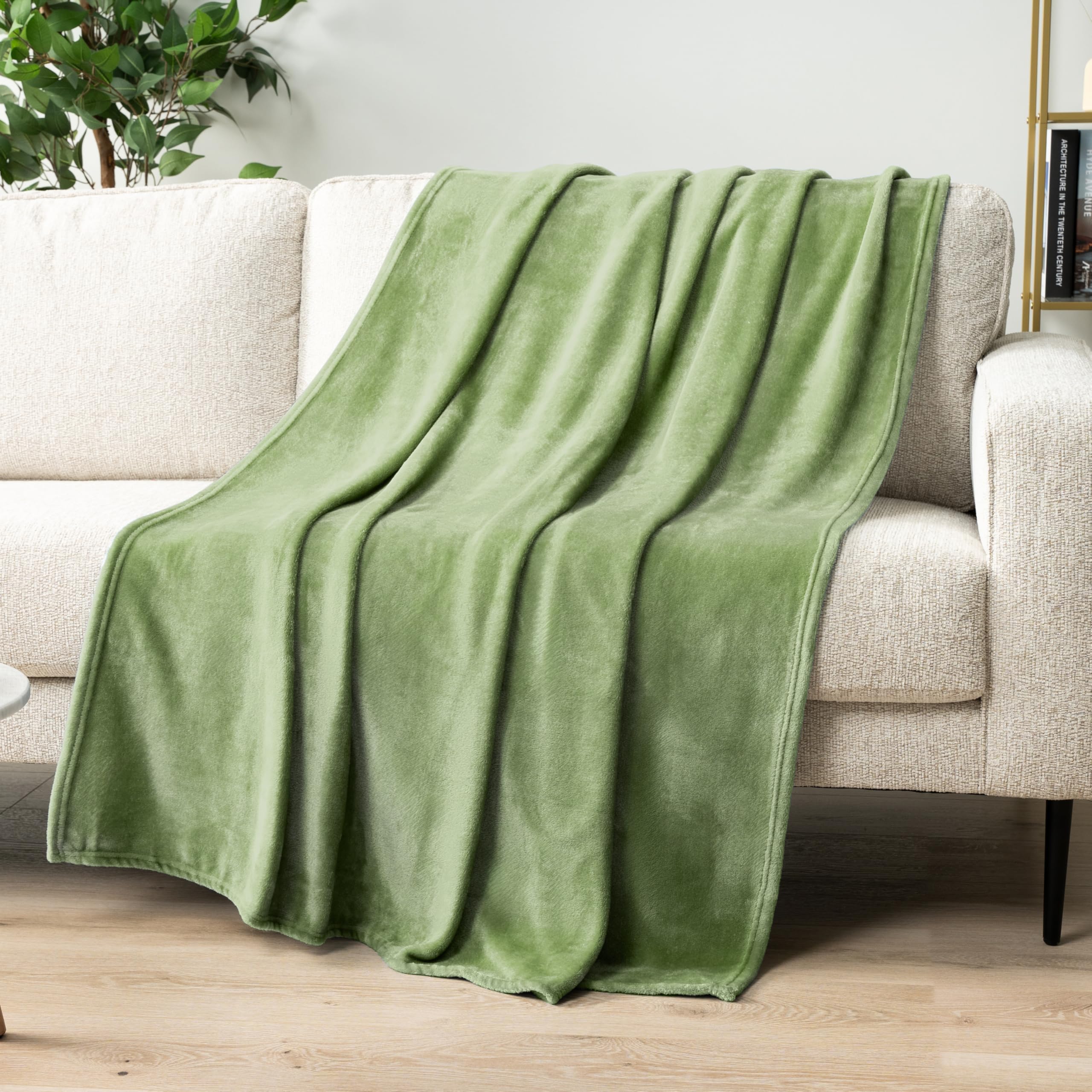 Pavilia Sage Green Fleece Throw Blanket For Couch, Light Olive Soft Fuzzy Flannel Throw For Sofa, Luxury Plush Microfiber Bed Bl
