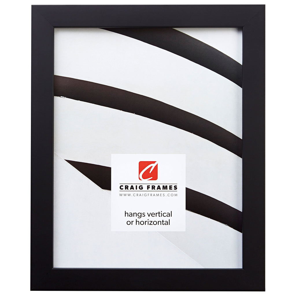 Craig Frames Confetti, Modern Black Picture Frame, 20 x 27 Inch