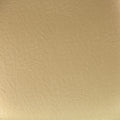 Flash Furniture Hard Gold Vinyl Chiavari Chair Cushion