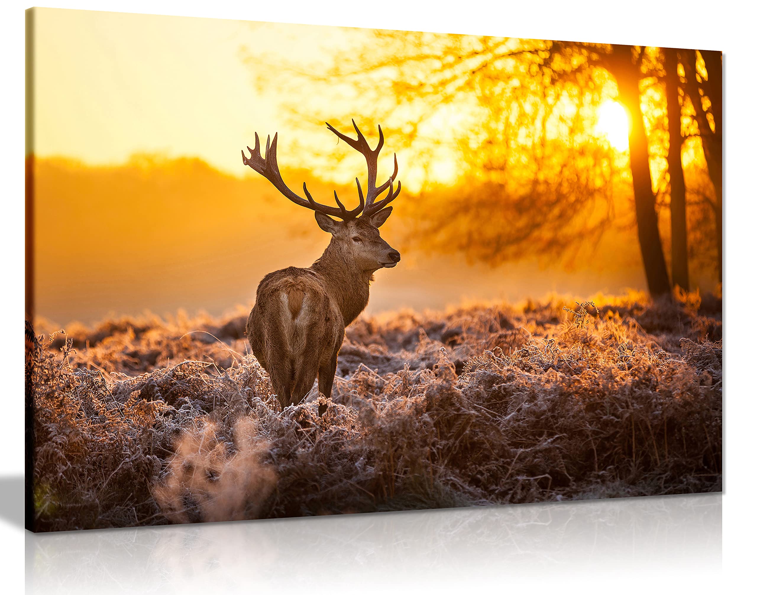 Red Deer In Morning Sun Canvas Wall Art Picture Print (24X16)
