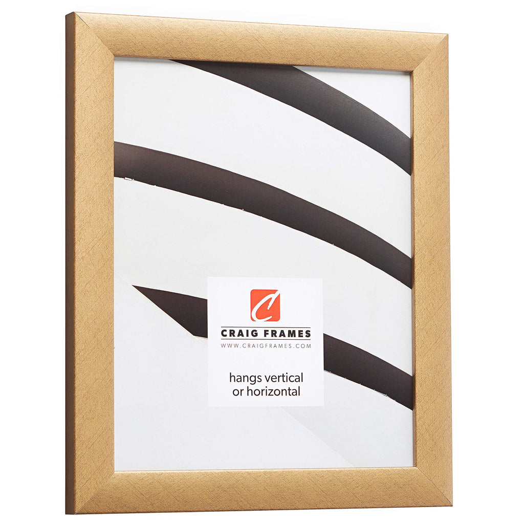 Craig Frames Contemporary Picture Frame, 11 X 15 Inch, Distressed Gold