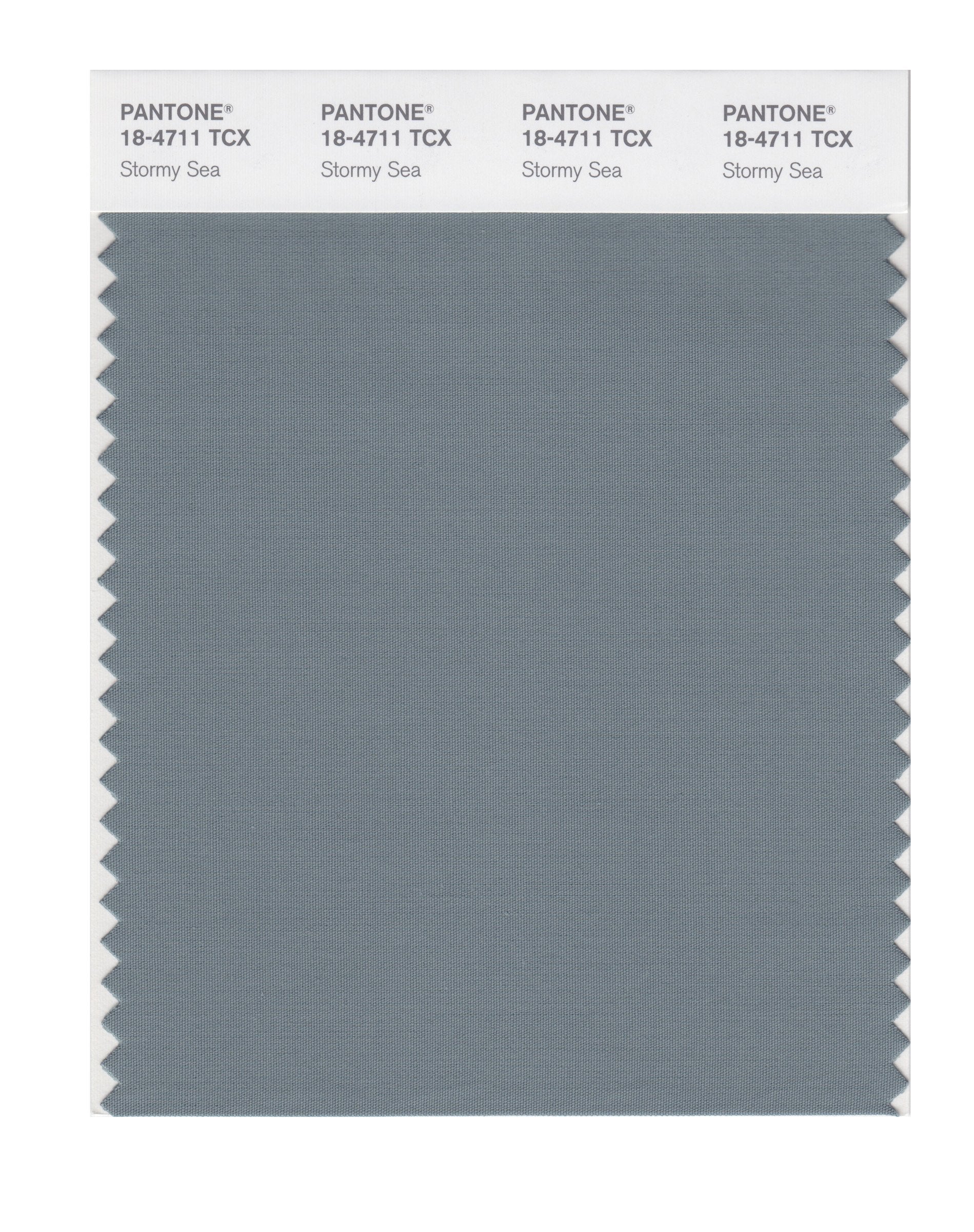 PANTONE Smart 18-4711X Color Swatch Card, Stormy Sea
