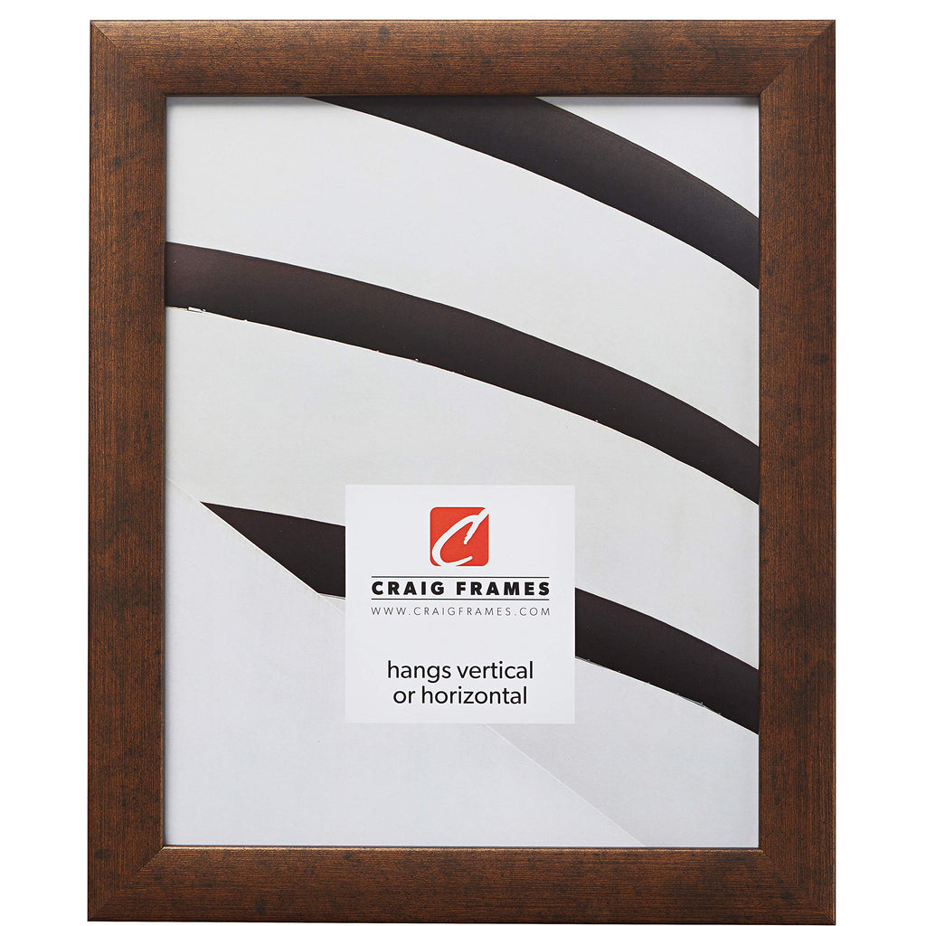 Craig Frames Contemporary Picture Frame, 8 x 10 Inch, Rustic Copper
