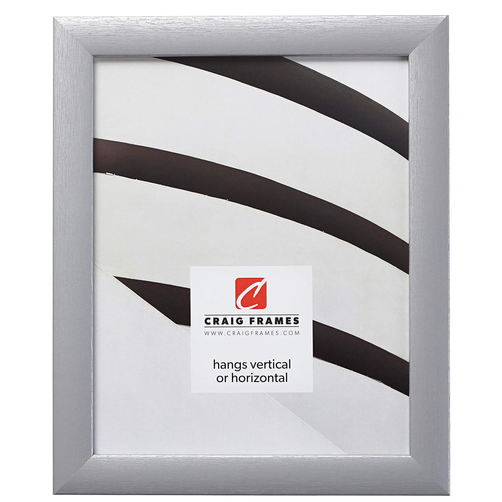 Craig Frames Contemporary Picture Frame, 12 x 17 Inch, Brushed Silver