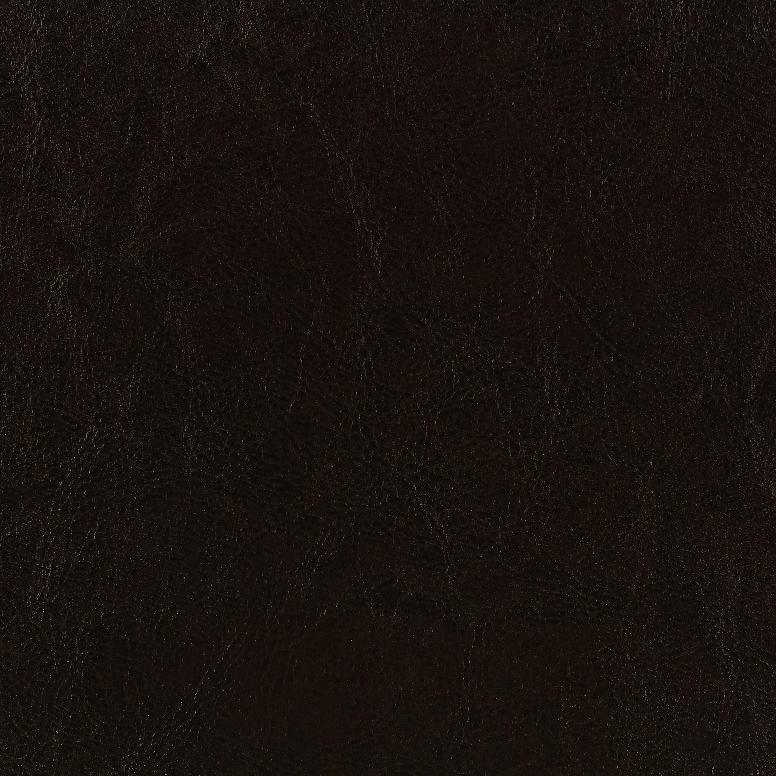 Coaster Home Furnishings Dorian Transitional Leatherette Upholstered Queen Size Panel Bed Frame 46-inch Headboard Brown 300762Q