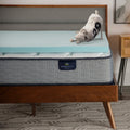 Serta Thermagel Cooling, Pressure-Relieving Memory Foam Mattress Topper, 2 Inch, Full Blue
