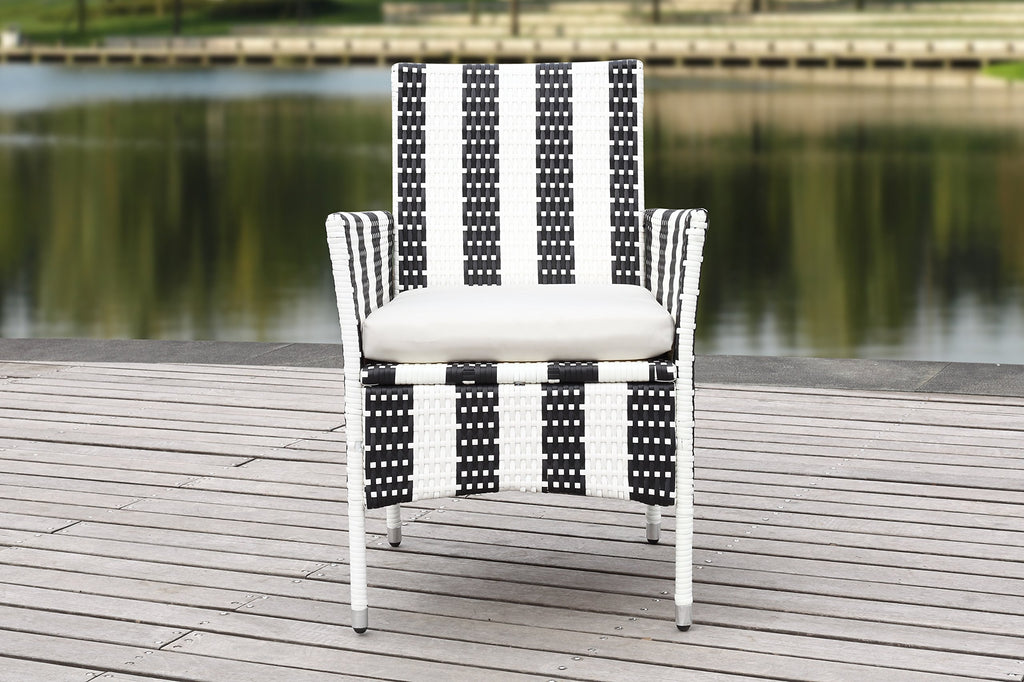 Safavieh Pat2506D-Set2 Chairs, Black/White