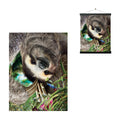 3D LiveLife Lenticular Wall Art Prints - Hangin Around from Deluxebase. Unframed 3D Sloth Poster. Perfect wall decor. Original 