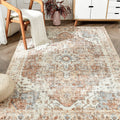jinchan Area Rug 4x6 Washable Bedroom Rug Vintage Indoor Floor Cover Distressed Lightweight Non-Slip Low Pile Thin Mat Stain Res