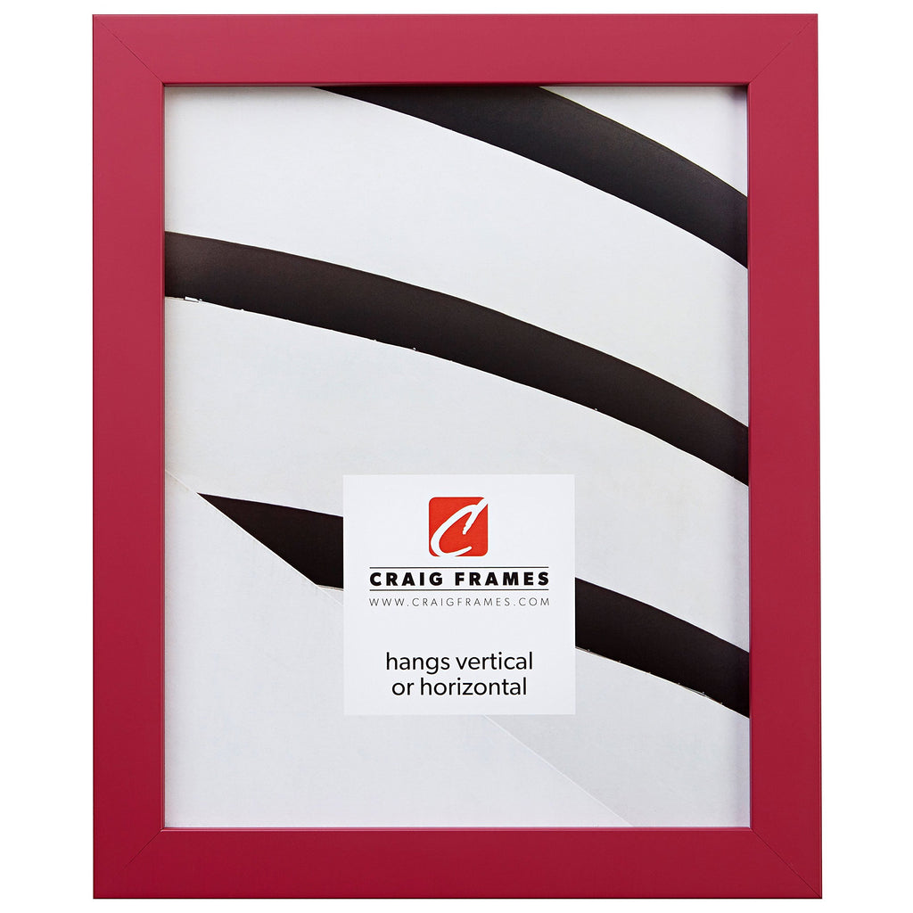 Craig Frames Confetti, Modern Pink Picture Frame, 4 x 6 Inch