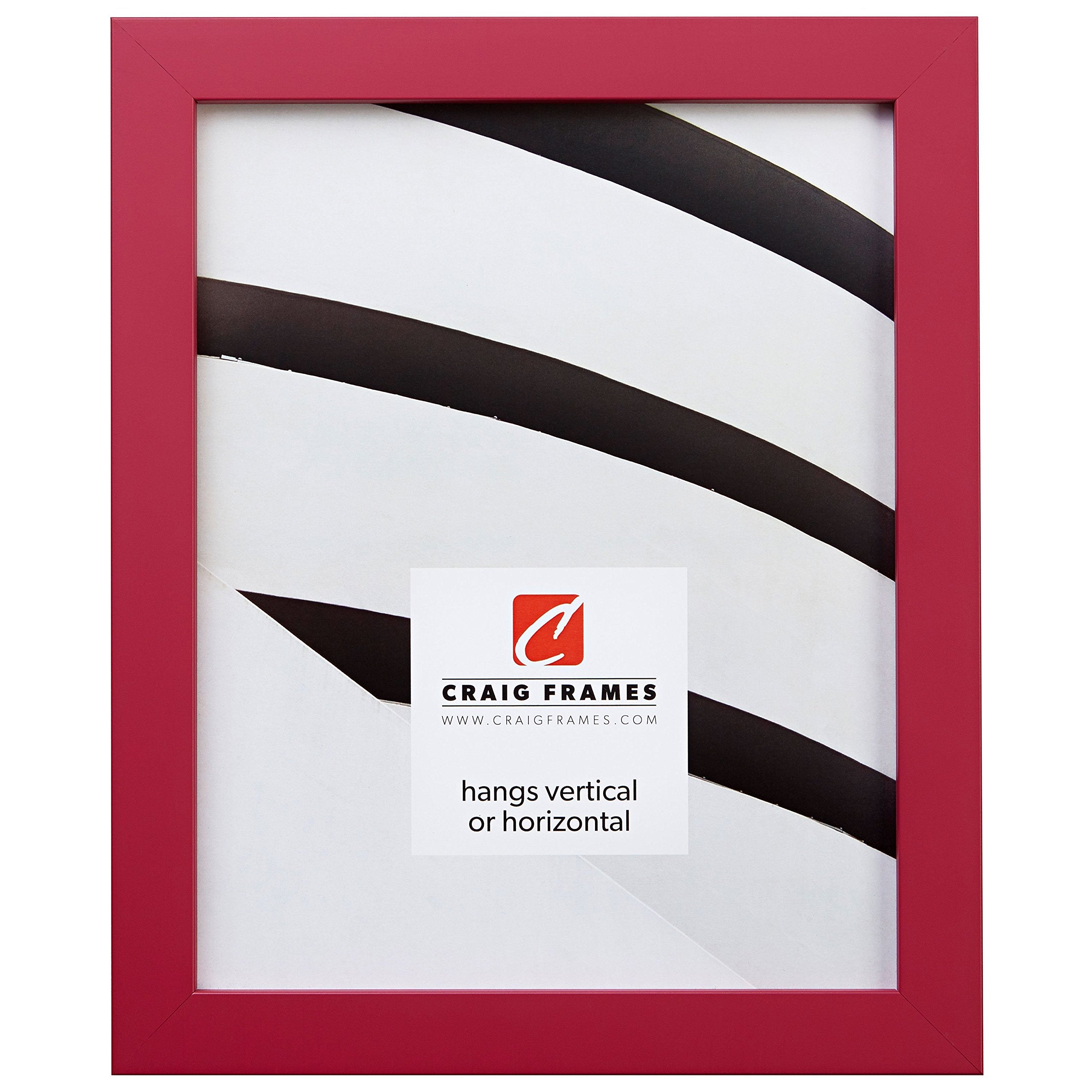 Craig Frames Confetti, Modern Pink Picture Frame, 16 x 22 Inch
