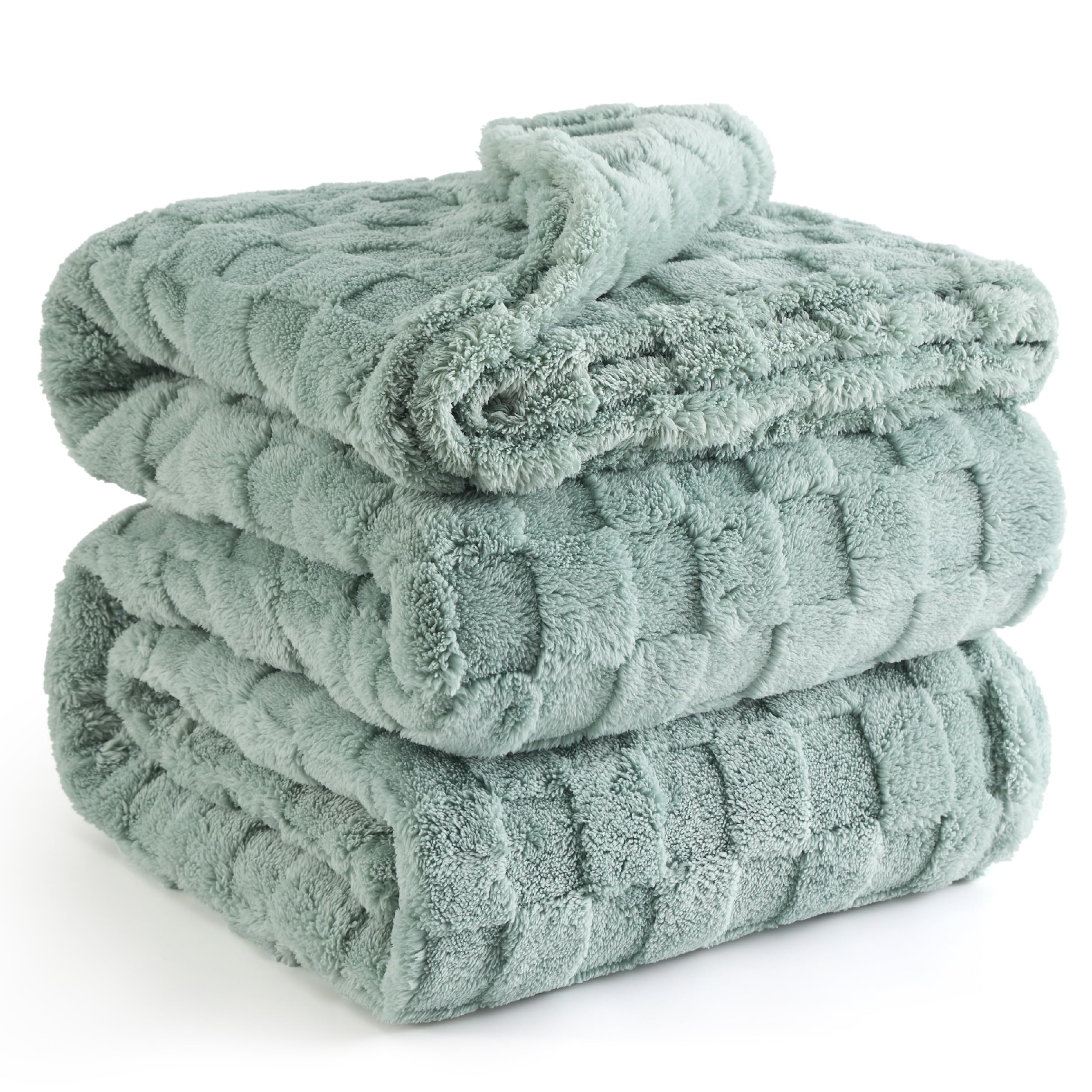 Bedsure Fleece Queen Blanket For Couch - Super Soft Cozy Blankets For Women, Cute Small Blanket For Girls, 90X90 Inches,Sage Gre