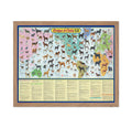 Poster Master Dogs and Cats of the World Poster - Pictorial Map Print - Dog & Cat Art - Gift for Animal Lover, Veterinarian - Ch