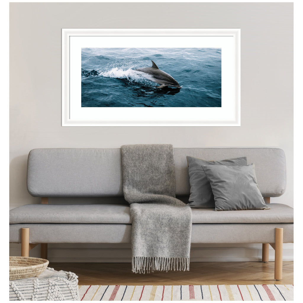 Framed Art Dolphin Skipping along in the Ocean Panel by Michael Schauer