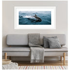 Framed Art Dolphin Skipping along in the Ocean Panel by Michael Schauer