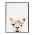Sylvie Alpaca Bangs Framed Canvas by Amy Peterson Art Studio