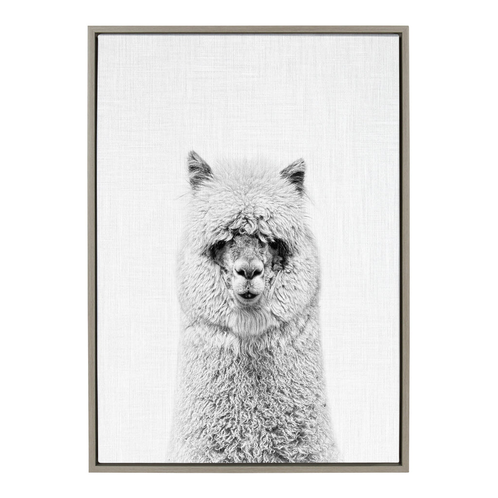 Sylvie Hairy Alpaca Framed Canvas by Simon Te of Tai Prints