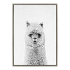 Sylvie Hairy Alpaca Framed Canvas by Simon Te of Tai Prints