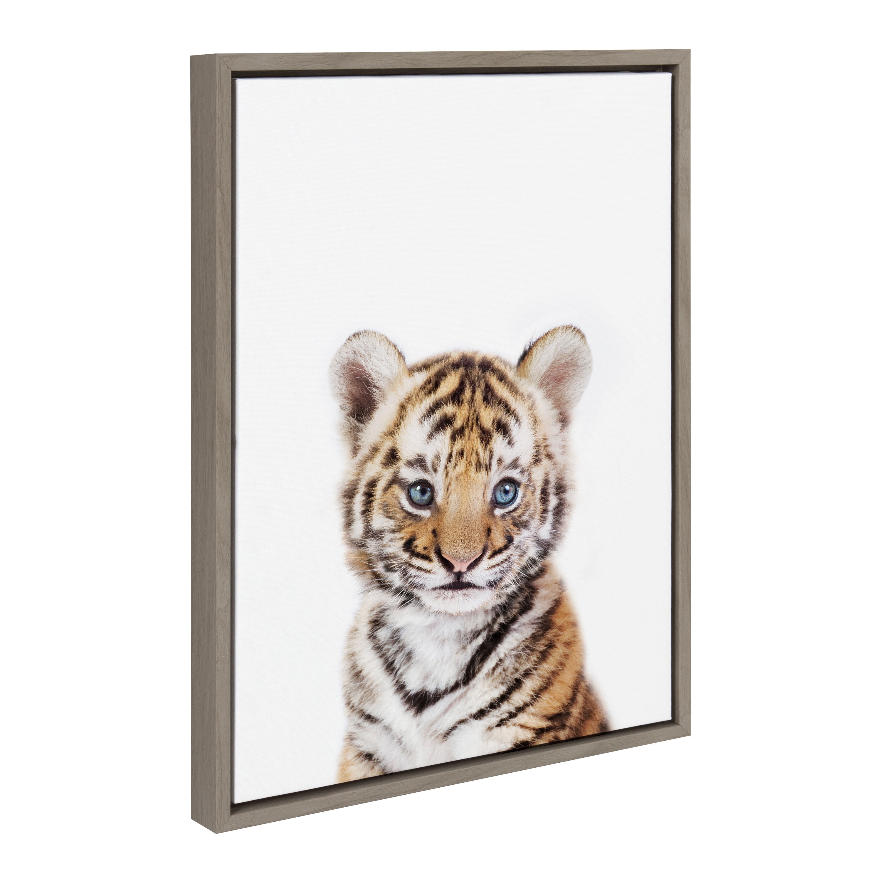 Sylvie Baby Tiger Framed Canvas by Amy Peterson