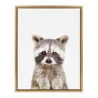 Sylvie Raccoon Framed Canvas by Amy Peterson Art Studio