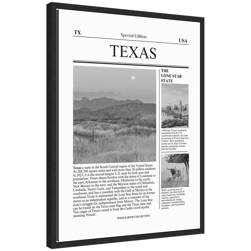 Texas Article by Megan Ryan Framed Canvas Wall Art Print