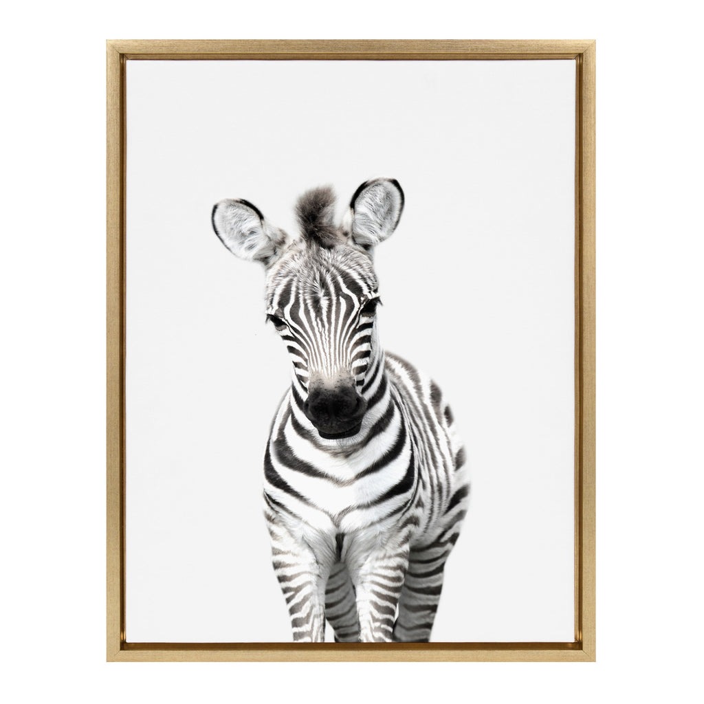 Sylvie Baby Zebra Framed Canvas by Amy Peterson