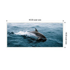 Sylvie Dolphin Skipping along in the Ocean Framed Canvas by Michael Schauer