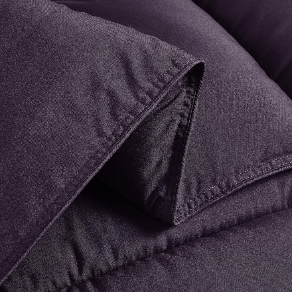 Chezmoi Collection 2-Piece Down Alternative Comforter Set - Lightweight All Seasons Luxurious Brushed Microfiber Comforter (Twin