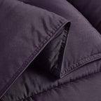 Chezmoi Collection 2-Piece Down Alternative Comforter Set - Lightweight All Seasons Luxurious Brushed Microfiber Comforter (Twin