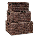 Trademark Innovations Set of 3 Rectangular Seagrass Baskets with Lids, Brown (Small)