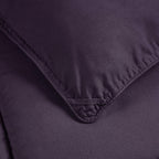 Chezmoi Collection 2-Piece Down Alternative Comforter Set - Lightweight All Seasons Luxurious Brushed Microfiber Comforter (Twin