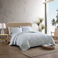 Tommy Bahama - Queen Quilt Set, Reversible Cotton Bedding with Matching Shams, Coastal Super Soft Bedding Set (Palmday Light Gre