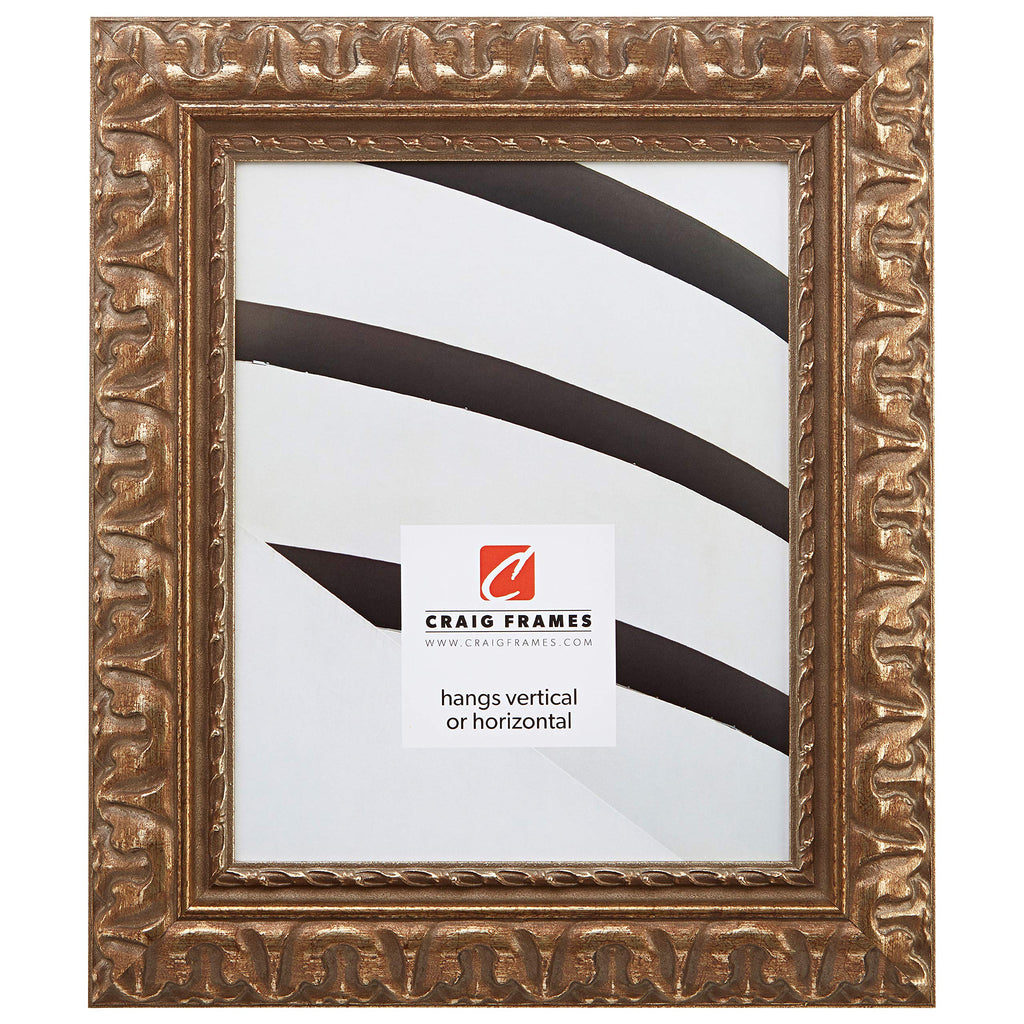 Craig Frames Bravado Ornate Antique Bronze Picture Frame, 10 by 12-Inch