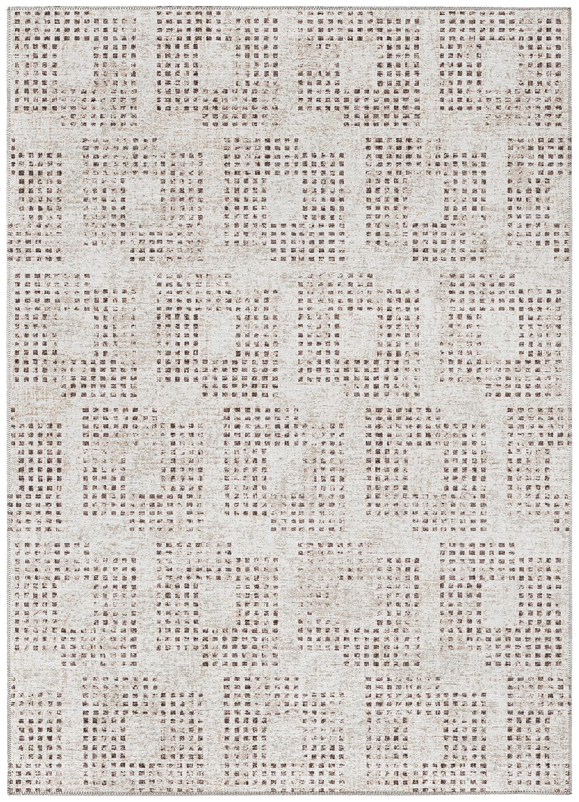 Addison Rugs Eleanor Aer31 Beige 3' X 5' Indoor Outdoor Area Rug, Easy Clean, Machine Washable, Non Shedding, Bedroom, Living Room, Dining Room, Kitchen, Patio Rug