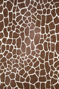 Addison Rugs Safari Asf34 Coffee Washable 8' X 10' Indoor Outdoor Area Rug, Easy Clean, Machine Washable, Non Shedding, Bedroom, Entry, Living Room, Dining Room, Kitchen, Patio Rug