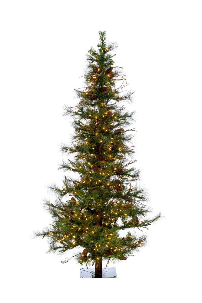 Vickerman 6 X 41 Inch  Ashland Duralit 450Cl 741T  A807561