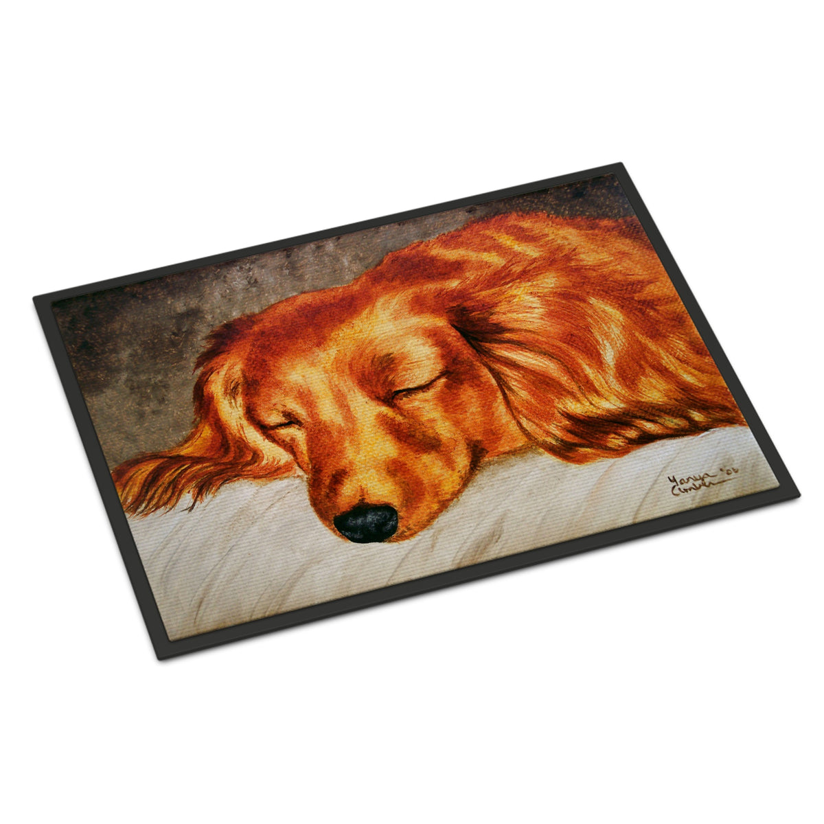 CarolineS Treasures Amb1202Jmat Red Longhaired Dachshund Indoor Or Outdoor Mat, 24 Inch  Inch  X 36 Inch  Inch , Multicolor