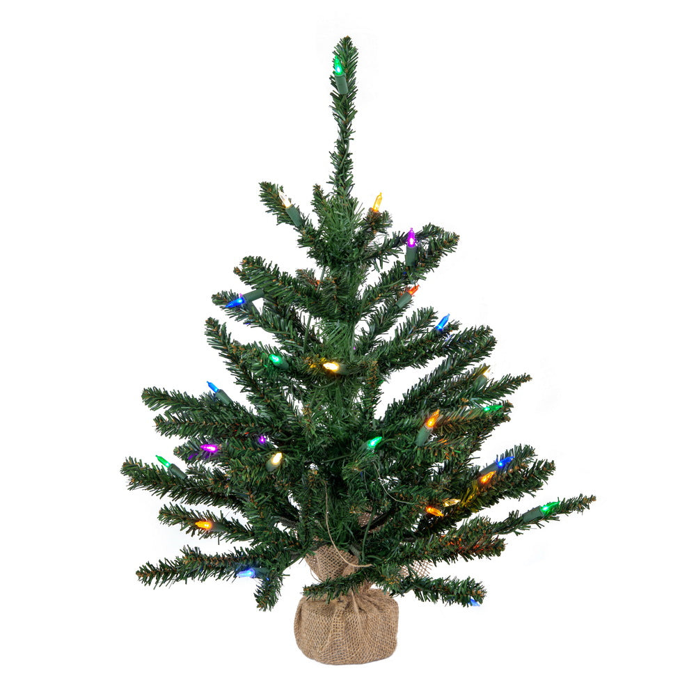 Vickerman 24 Inch  Anoka W/Burlap Base Dural Led 35Mu  B160426Led